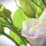 如何在vinbet浩博手机版app上获取最佳游戏体验与优惠 1m7hx