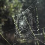 如何在betball贝博上获得最佳投注体验与收益 5z20i57b