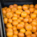 如何在xbet星投官网上安全高效地进行投注与游戏体验 631h1