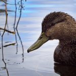 大发注册地址的注意事项与常见问题解答指南 7ftmk