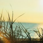 澳门钻石平台:探索奢华博彩体验的最佳选择 aejftm