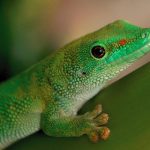 如何在丽星邮轮赌场官方网站上享受无与伦比的娱乐体验 dbnojbq9db