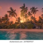 牛魔王捕鱼官方app:畅享极致捕鱼体验的最佳选择 ry5hu